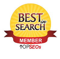 Top SEOs Best in Search